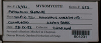 Image Associated With the Occurence